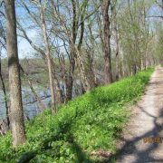 Biking Canal Tow (19)